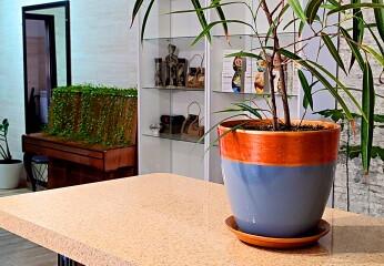 Отель Eco House Россия, Ессентуки, фото 13