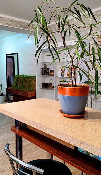 Eco House