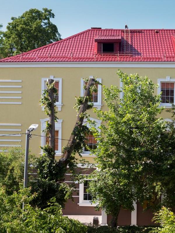 Арт Хостел