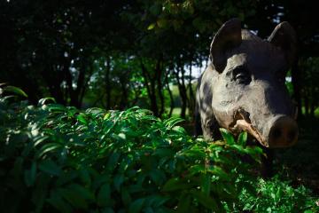Отель Лосиный Двор Россия, Куршская коса, фото 20
