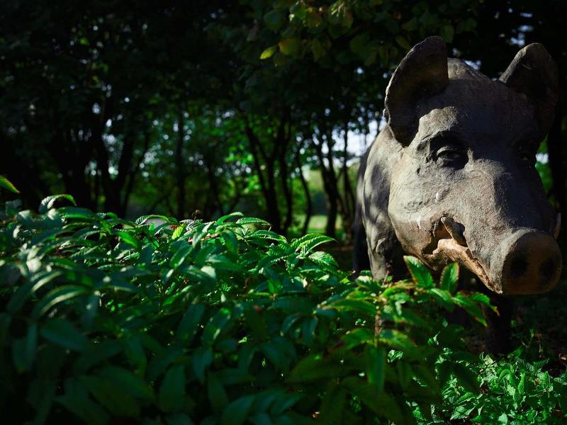 Лосиный Двор