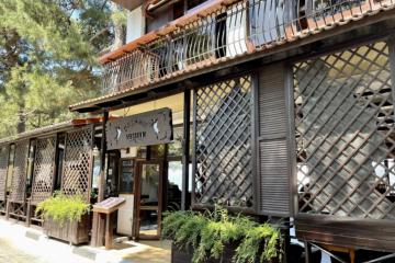Отель Saloon Western hotel Россия, Геленджик, фото 23