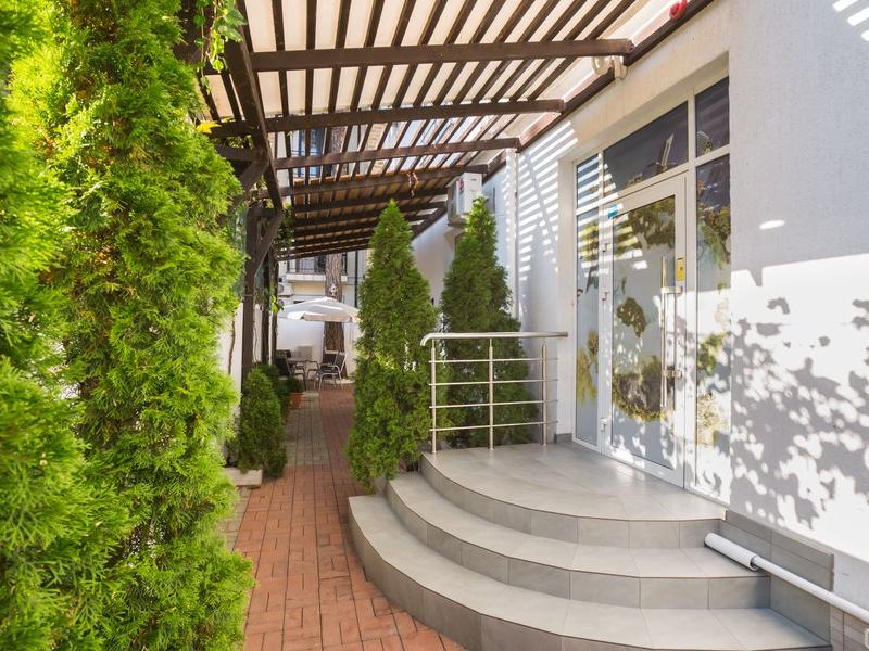 Абрикос Плюс