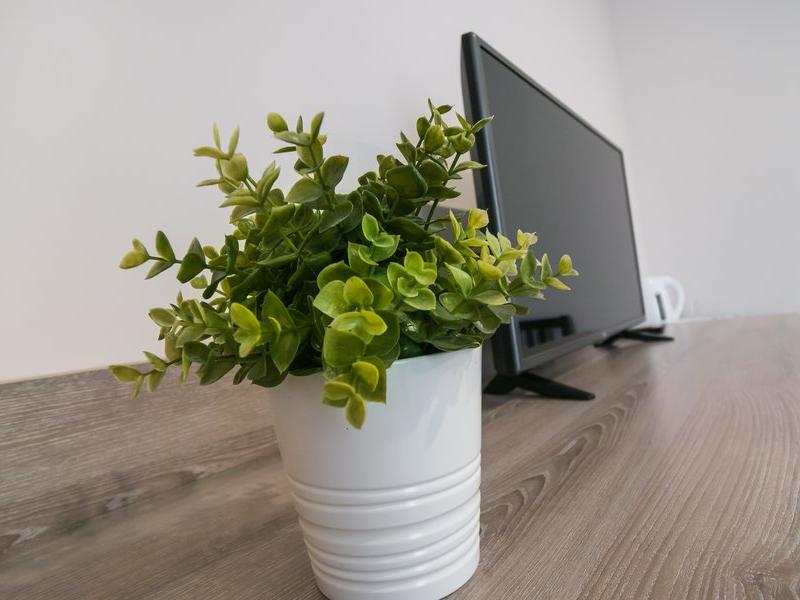 Абрикос Плюс