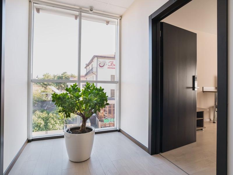 Абрикос Плюс