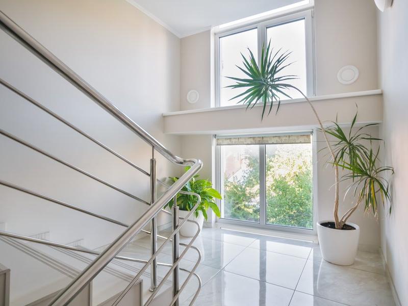 Абрикос Плюс