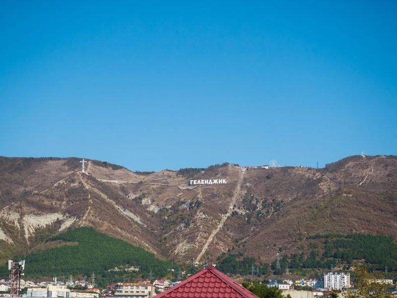 Абрикос Плюс