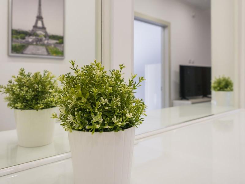 Абрикос Плюс