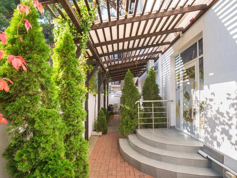 Абрикос Плюс