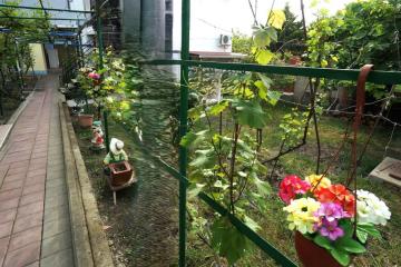 Отель Виноградная аллея Россия, Геленджик, фото 11