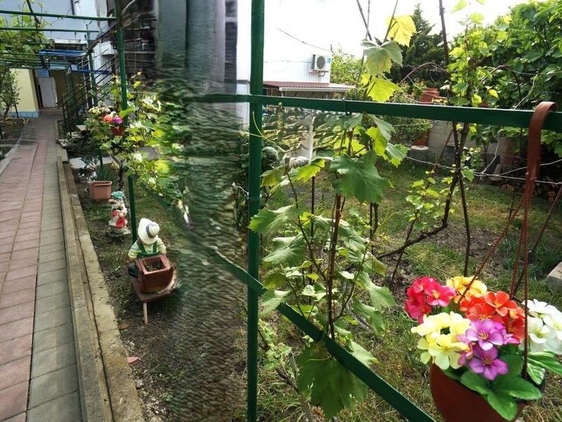 Виноградная аллея