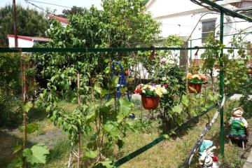 Отель Виноградная аллея Россия, Геленджик, фото 15