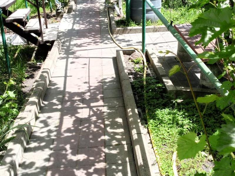 Виноградная аллея