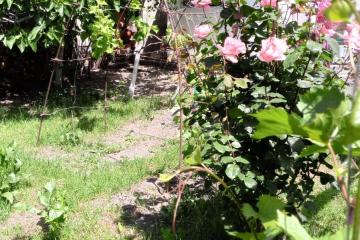 Отель Виноградная аллея Россия, Геленджик, фото 19