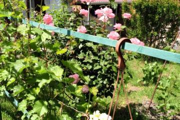 Отель Виноградная аллея Россия, Геленджик, фото 2