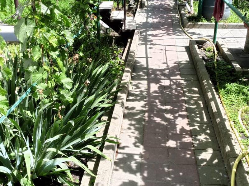 Виноградная аллея