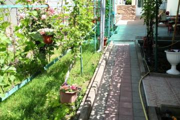 Отель Виноградная аллея Россия, Геленджик, фото 22