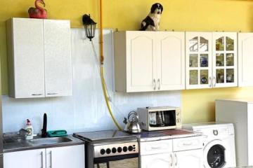 Отель Виноградная аллея Россия, Геленджик, фото 3