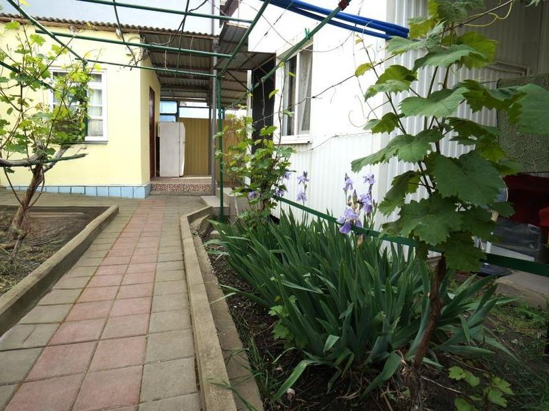 Виноградная аллея