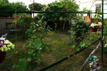 Отель Виноградная аллея Россия, Геленджик, фото 10