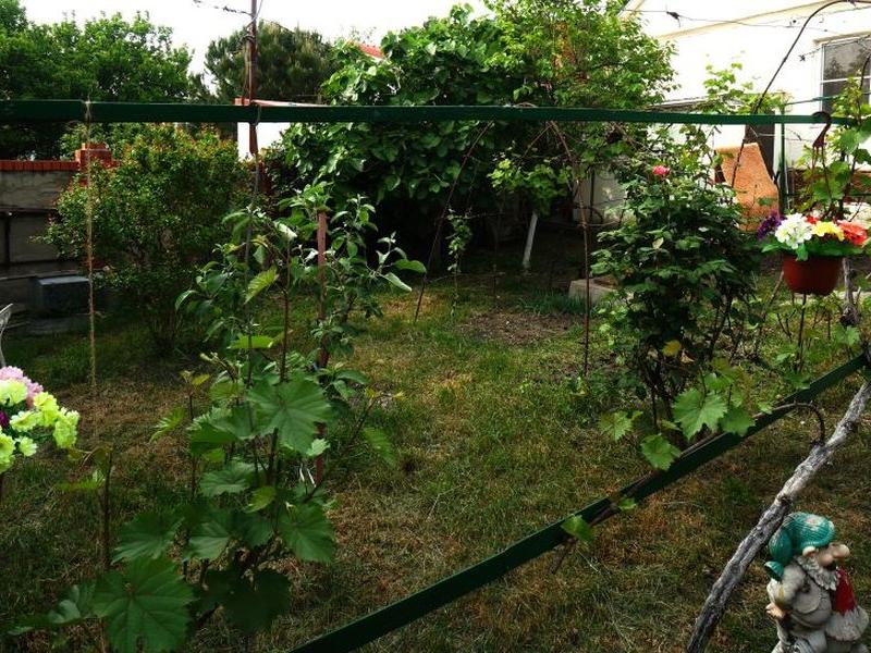 Виноградная аллея