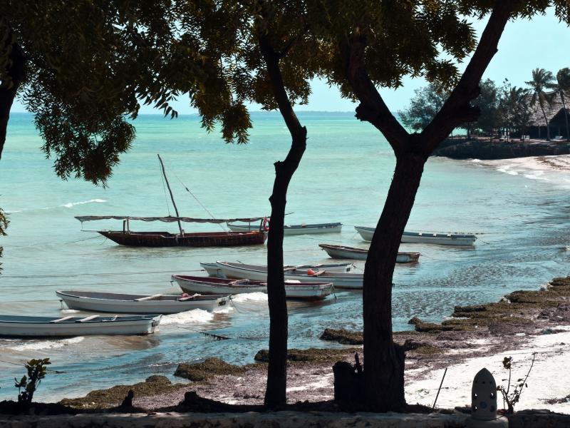 Bella Vista Resort Zanzibar