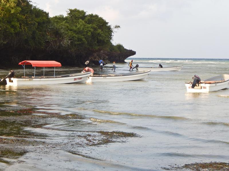 Bella Vista Resort Zanzibar