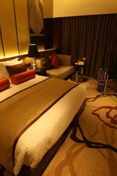 Отель Pride Plaza Hotel Aerocity New Delhi Индия, Дели, фото 16