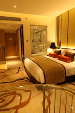 Отель Pride Plaza Hotel Aerocity New Delhi Индия, Дели, фото 17