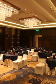 Отель Pride Plaza Hotel Aerocity New Delhi Индия, Дели, фото 5