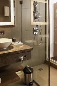 Отель Novotel New Delhi Aerocity Индия, Дели, фото 113