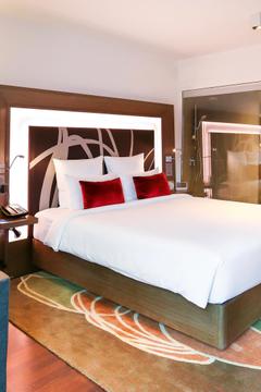 Отель Novotel New Delhi Aerocity Индия, Дели, фото 119