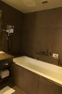 Отель Novotel New Delhi Aerocity Индия, Дели, фото 12