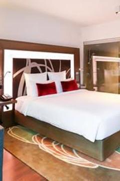 Отель Novotel New Delhi Aerocity Индия, Дели, фото 122