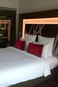 Отель Novotel New Delhi Aerocity Индия, Дели, фото 147