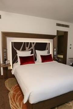 Отель Novotel New Delhi Aerocity Индия, Дели, фото 153
