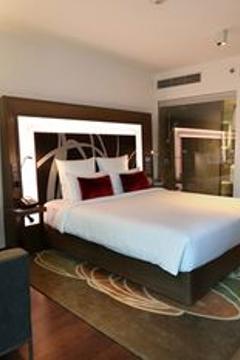 Отель Novotel New Delhi Aerocity Индия, Дели, фото 159