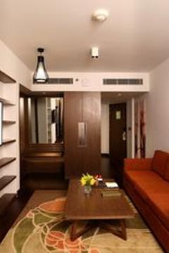 Отель Novotel New Delhi Aerocity Индия, Дели, фото 167