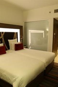 Отель Novotel New Delhi Aerocity Индия, Дели, фото 169