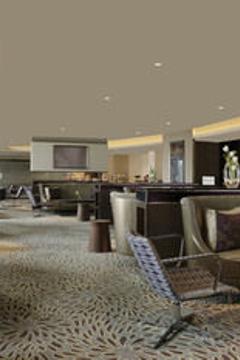 Отель Novotel New Delhi Aerocity Индия, Дели, фото 196
