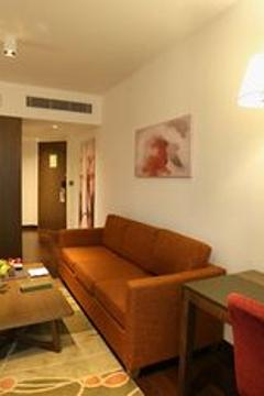 Отель Novotel New Delhi Aerocity Индия, Дели, фото 219