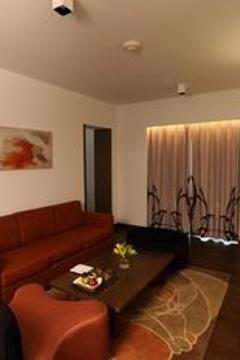 Отель Novotel New Delhi Aerocity Индия, Дели, фото 221