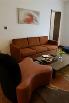 Отель Novotel New Delhi Aerocity Индия, Дели, фото 224