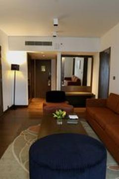 Отель Novotel New Delhi Aerocity Индия, Дели, фото 226