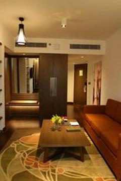 Отель Novotel New Delhi Aerocity Индия, Дели, фото 227