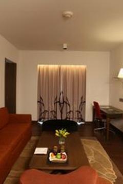 Отель Novotel New Delhi Aerocity Индия, Дели, фото 230