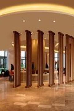 Отель Novotel New Delhi Aerocity Индия, Дели, фото 235
