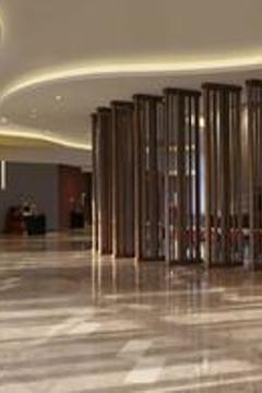 Отель Novotel New Delhi Aerocity Индия, Дели, фото 236