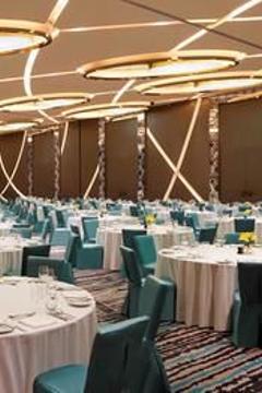 Отель Novotel New Delhi Aerocity Индия, Дели, фото 238