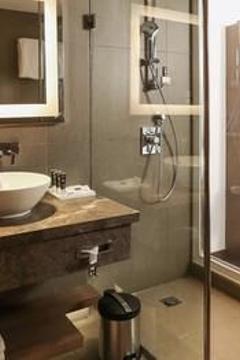 Отель Novotel New Delhi Aerocity Индия, Дели, фото 264